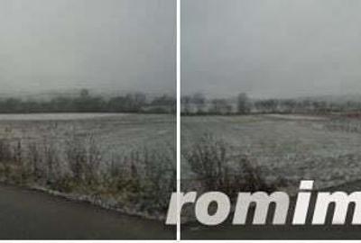 Teren Extravilan Corbita, ID: R1966413 - 5