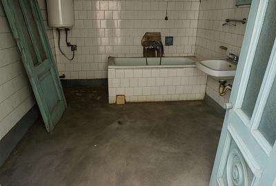 Casă interbelică cu dublu potențial – Zona Cantacuzino, Ploiești - 15