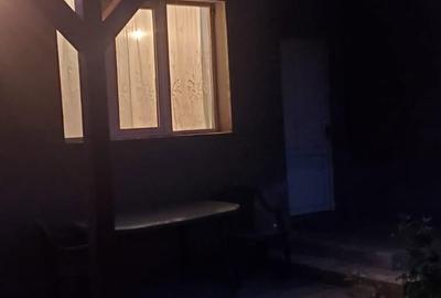 Casă cu 3 camere cu Teren 1709 Mp în Scărișoara Nouă - 4