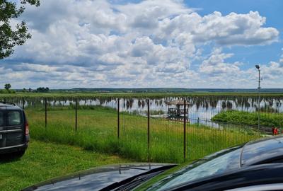 Casă parter în Comana,vis-a-vis Delta Neajlovului(parc Natural Comana). - 9