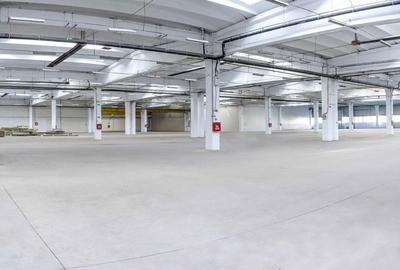 Spațiu comercial, de 4,500 mp, în Est - 2