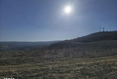 Spațiu comercial, în Tomești - 12