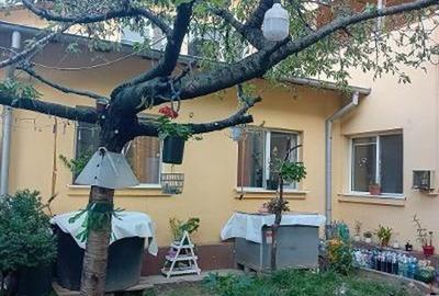 Blv BUCURESTI - casa P+1, 6cam, S-200mp - 155000 euro - 13