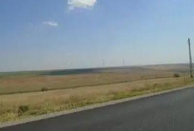 Teren de 9000 mp, în Schela - 9