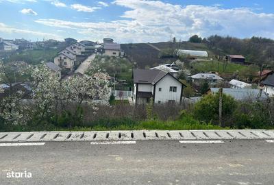 Spațiu comercial, în Valea Lupului - 9
