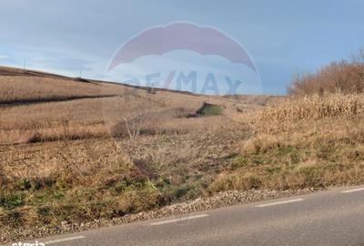 Teren de 800 mp, în Traian - 4