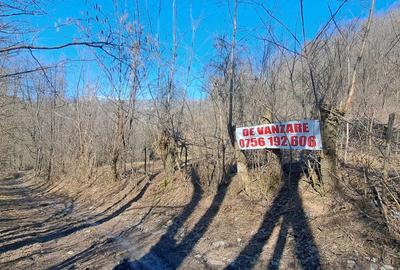 Teren de 2142 mp, în Podul Lung - 11