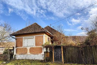 Casă cu 3 camere cu Teren 2000 Mp în Laslău Mare - 1