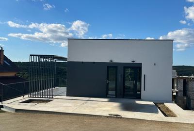 Casă unicat, Gh. Doja–Vedere panoramică, 3 dormitoare, saună, sală sport-339000e - 3