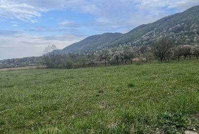 Teren de 5400 mp, în Copalnic - 2