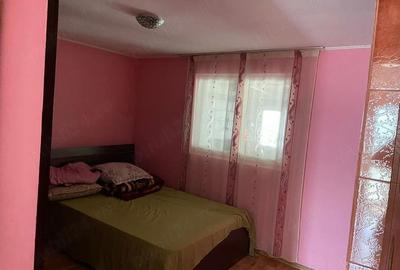 Casă cu 3 camere cu Teren 2000 Mp în Schitu Duca - 8