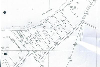Teren intravilan de 10000 mp, în Grădiștea - 11
