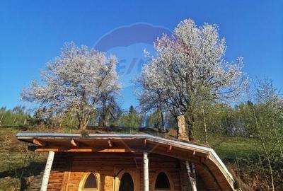 Casă cu 14 camere cu Teren 62000 Mp în Horea - 2