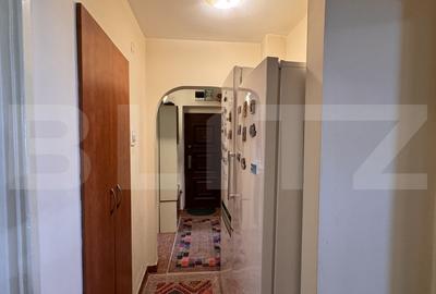 Apartament cu 4 camere, 78 mp, Calea Bucuresti - zona Teatrul Colibri - 10
