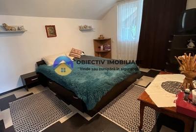 Vila Piatra Neamt-Ciritei - 14
