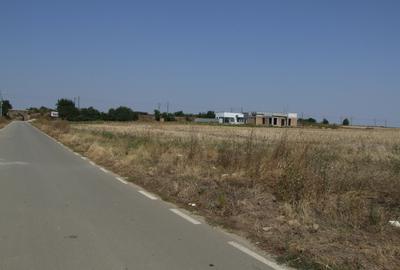 Teren Construcții intravilan de 6784 mp, în Domnești - 7