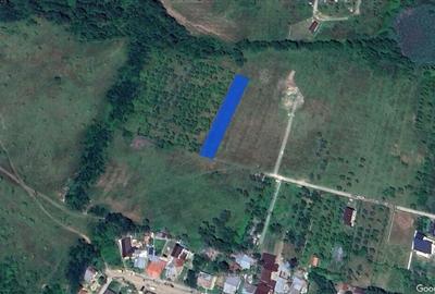 VANZARE TEREN 1490 mp./ 13 ml. - Campina/Voila - 2