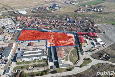 Teren intravilan de 13.418 mp in Lugoj: Oportunitate investi?ionala! Teren intravilan de 13.418 mp in Lugoj: Oportunitate investi?ionala! - 4