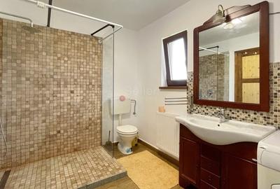 Complex de 3 case pe 18000 mp teren - 33