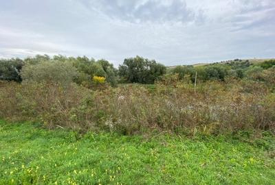 Teren agricol extravilan de 2950 mp, în Măcești - 4