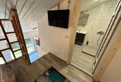Apartament cu 2 camere decomandat, mobilat în Tomis Nord - 9