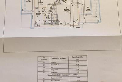 Izbiceni-Coralilor-Damaroaia,eleganta si robusta,cu garaj,curte intima,vegetatie - 46