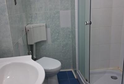 Garsoniera mobilata ,utilata renovata,libera imediat , - 9