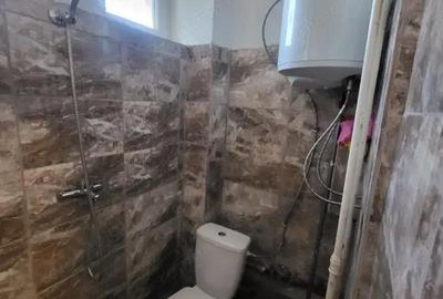 Apartament o camera in zona Balcescu - 3