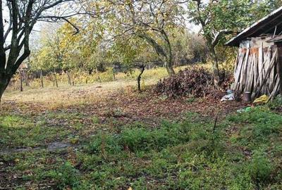 Casă cu 3 camere cu Teren 2493 Mp în Pădina - 5