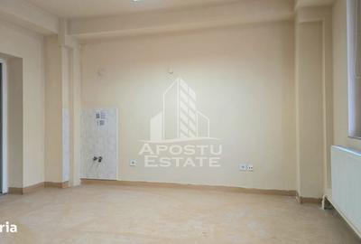 Spațiu comercial, de 250 mp, în Iosefin - 1
