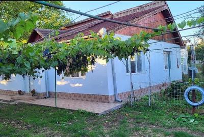 Casă cu 3 camere cu Teren 1000 Mp în Central - 2