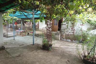 Casă cu Teren 1439 Mp în Brădișoru de Jos - 4