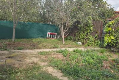 Casa De Vanzare Sacosu Turcesc - 4