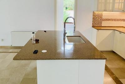 Vilă individuala, Iancu Nicolae – ansamblu exclusivist, curte 400 mp Vilă individuala, Iancu Nicolae – ansamblu exclusivist, curte 400 mp - 9