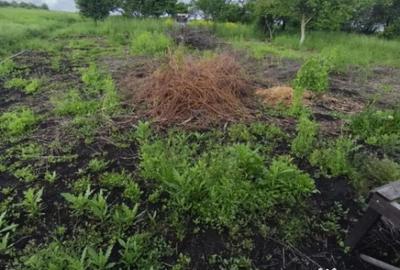 Casă cu 4 camere cu Teren 6000 Mp în Negostina - 7