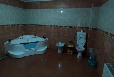 Vila spa?ioasa cu teren generos, garaj, zona ideala, direct proprietar - 3