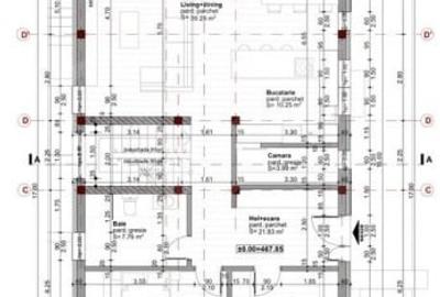 Casa individuala Voronet /Cluj - 7