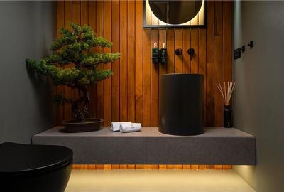 Apartament cu 3 camere decomandat, mobilat în Herăstrău - 9