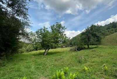 Teren 2 hectare pe Valea Ariesului, zona Scarita-Belioara, pret oportun 2 Eur/mp - 12