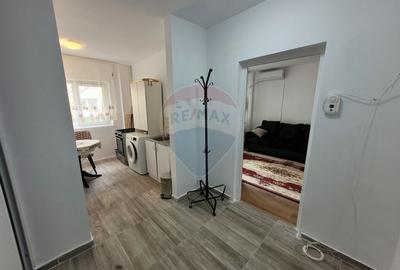 Inchiriere apartament 2 camere, zona Calea Mosilor - 18