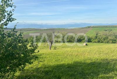 Teren de vanzare intravilan 8900mp Sura Mare zona deosebita - 5