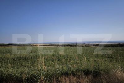 Teren 30.350 mp (600 mp intravilan) ideal investi?ie, C - 1