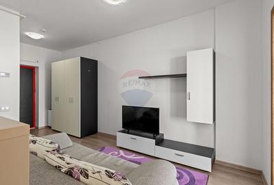 Apartament cu 2 camere de inchiriat in zona Micalaca - 6