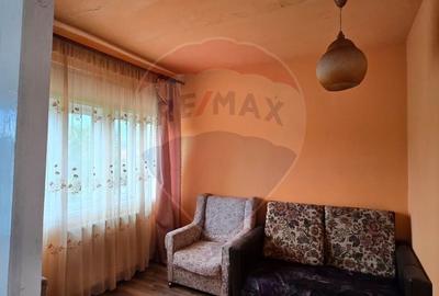 Casă cu 10 camere cu Teren 1000 Mp în Chisindia - 25