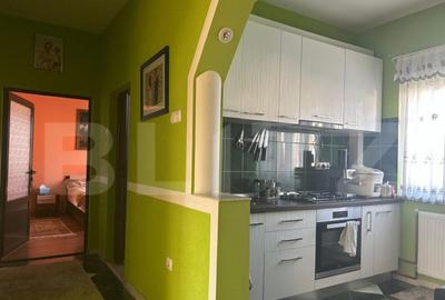 Casa de vzanzare, 240 mp, Zona Botizului - 15