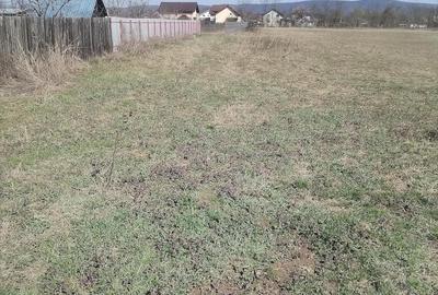 Teren de 5500 mp, în Ruși-Ciutea - 5
