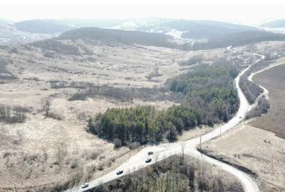 Spațiu comercial, în Bârzulești - 2