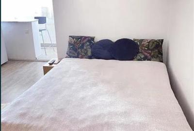 Inchiriere Garsoniera Semidecomandata Aparatorii Patriei - 2