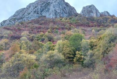 Teren de 16121 mp, în Central