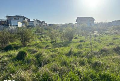 Spațiu comercial, în Iris